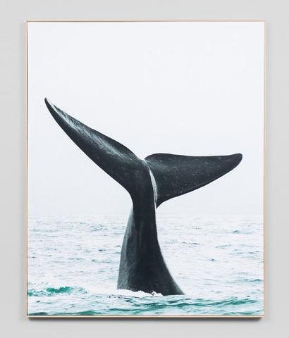 Whale Tail - Framed Canvas Wall Art